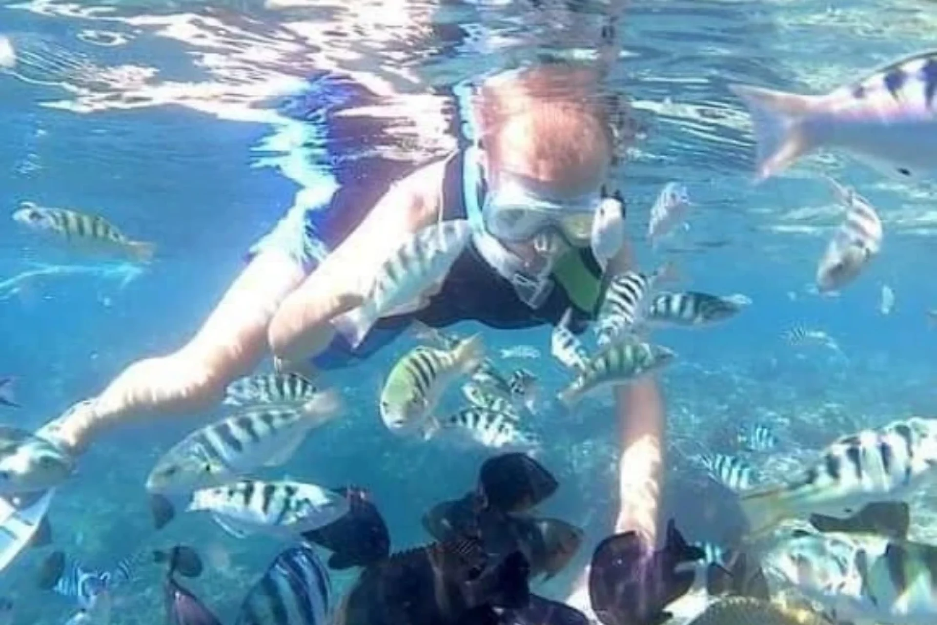 Bali-Blue-Lagoon-Snorkeling-Gallery-5